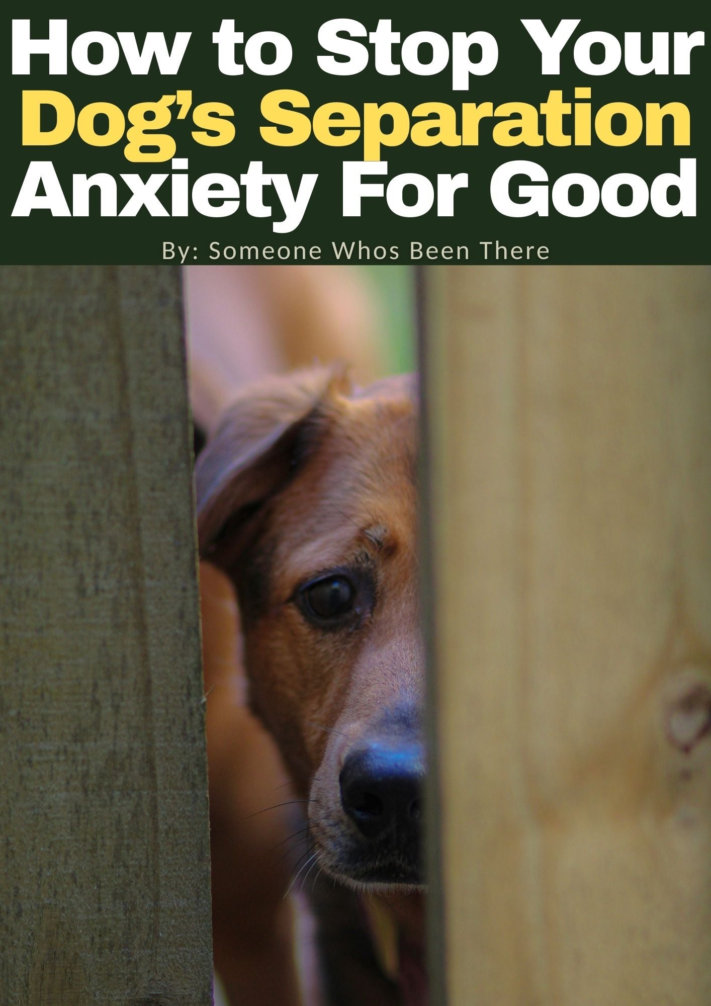 How to Stop Your Dog’s Separation Anxiety For Good - Fire on Fire Store