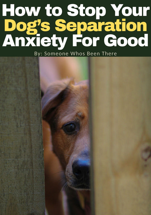 How to Stop Your Dog’s Separation Anxiety For Good - Fire on Fire Store
